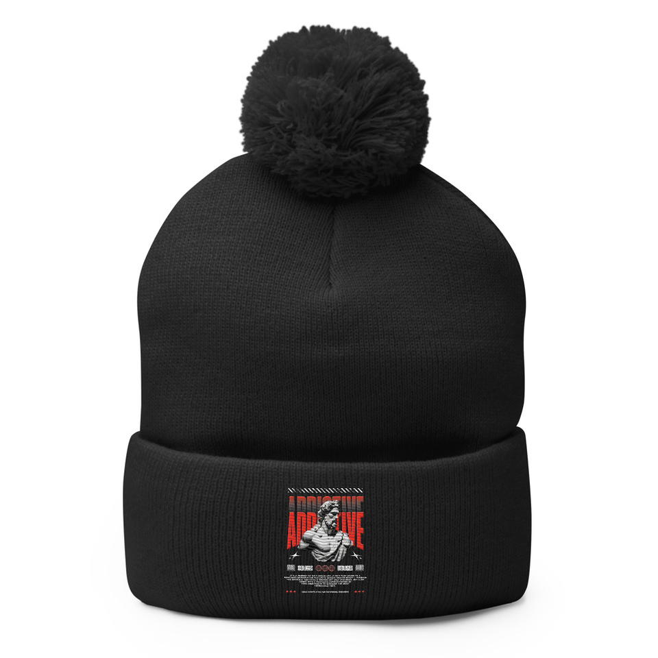 Addictive Pom-Pom Knit Cap