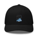Delulu is the Solulu! - Typographic Cartoon Streetwear Retro Trucker Hat