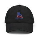 Cats Lovers Distressed Dad Hat