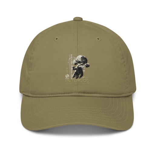 [ID: 491-G106] Asteroids Organic Baseball Cap
