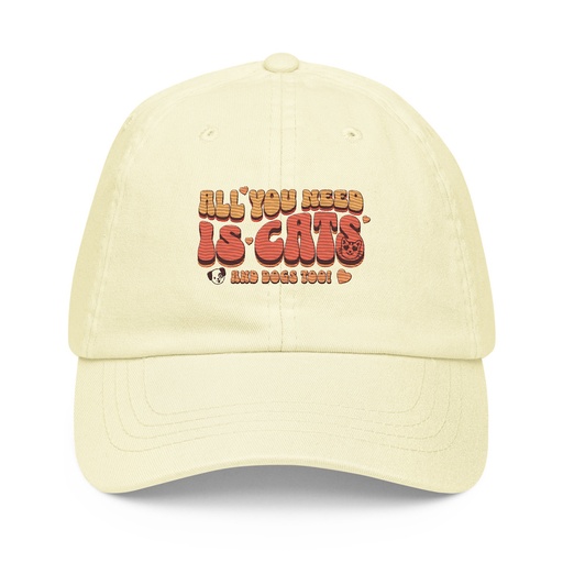 [ID: 481-G52] All You Need Pastel Baseball Hat
