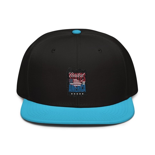 [ID: 77-G59] America (3) Snapback