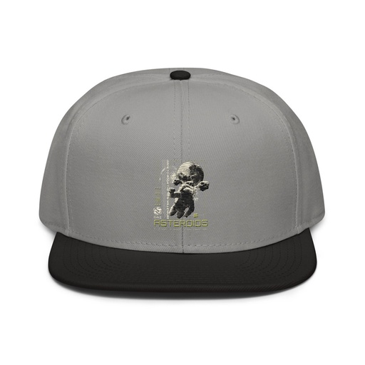 [ID: 77-G106] Asteroids Snapback
