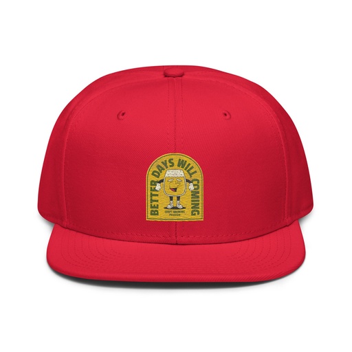 [ID: 77-G194] Better Days Will Coming Snapback