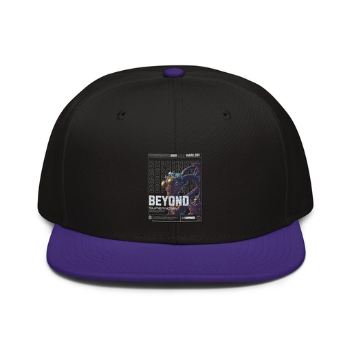 [ID: 77-G198] Beyond Supernova Snapback