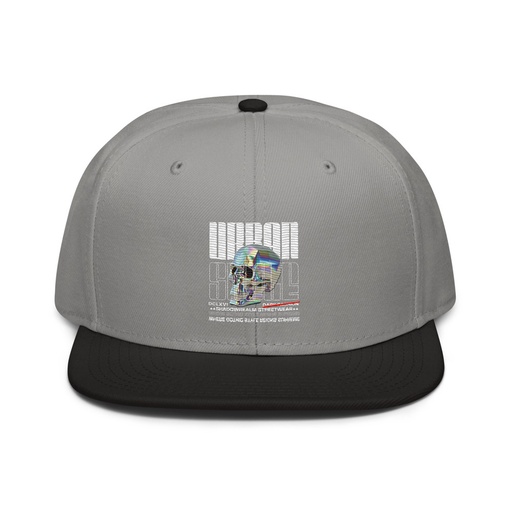 [ID: 77-G213] Black 3D Skull Snapback