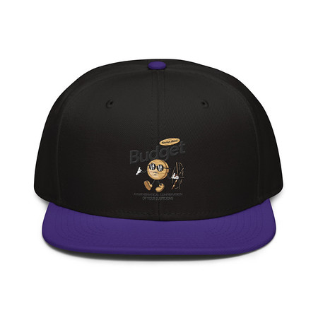 [ID: 77-G294] Budget Snapback