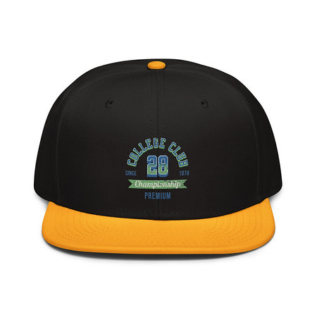 [ID: 77-G352] CC 28 Snapback