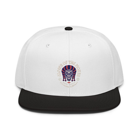 [ID: 77-G389] Clown of the Month Snapback