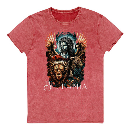 [ID: 462-G179] Bellamia Unisex Denim T-Shirt