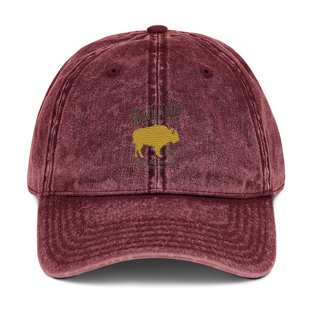 [ID: 327-G131] Badlands National Park - Bison Vintage Cap