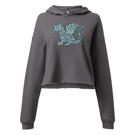 [ID: 317-G16] A Dragon Rises - Typographic Lettering Women's Cropped Hoodie