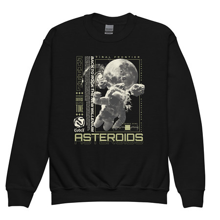 [ID: 677-G106] Asteroids Youth Crew Neck Sweatshirt