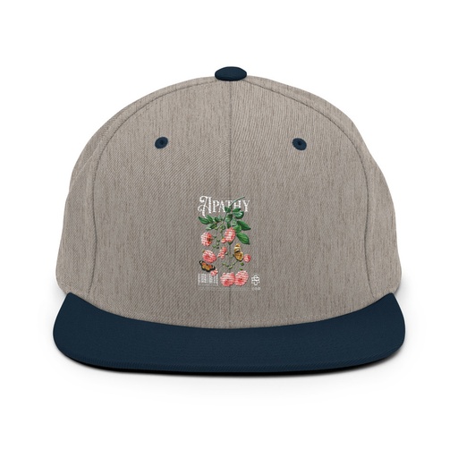 [ID: 99-G95] Apathy Classic Snapback
