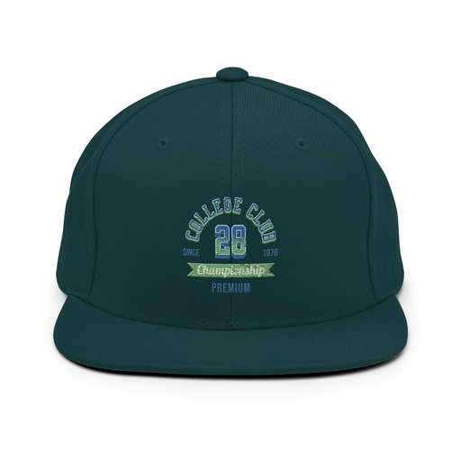 [ID: 99-G352] CC 28 Classic Snapback