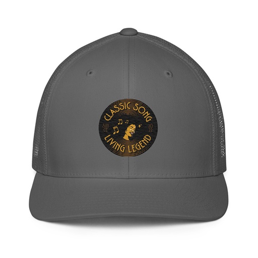[ID: 596-G385] Classic Song - Music Record Closed-Back Trucker Cap
