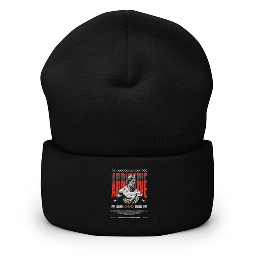 [ID: 266-G22] Addictive Cuffed Beanie