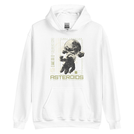 [ID: 146-G106] Asteroids Unisex Heavy Blend Hoodie